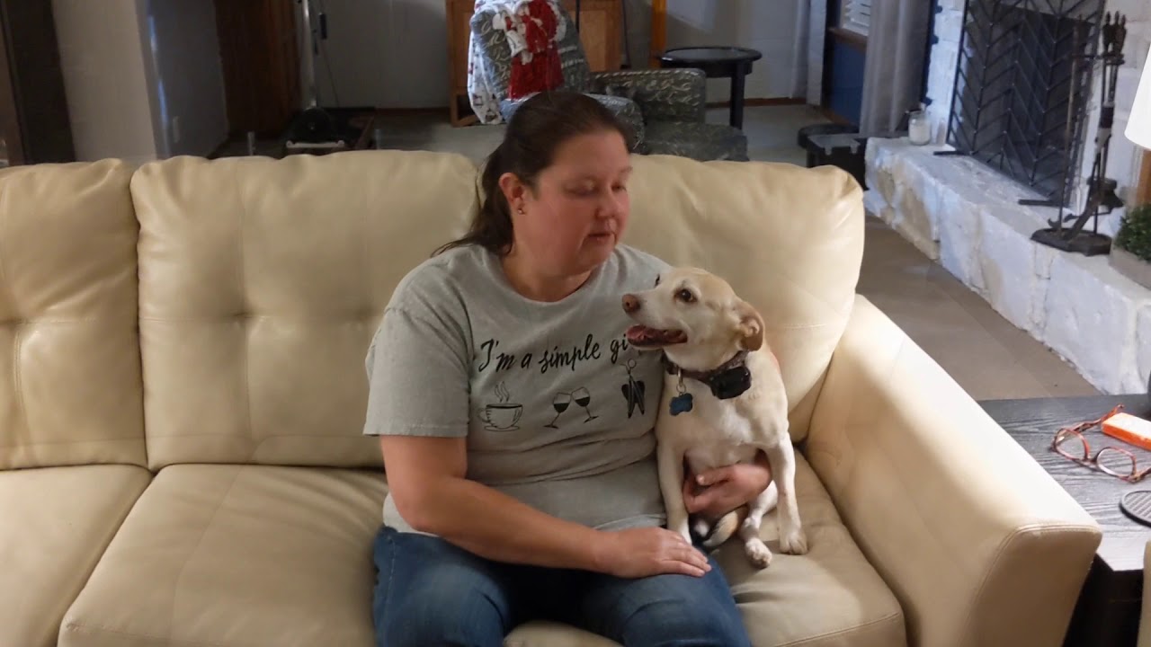 Tip Top K9 Reviews | Tulsa Dog Board and Train | Tip Top K9 | DJ