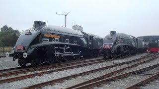 preview picture of video '60008 and 60010 at NRM Shildon'