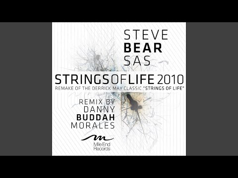 Strings Of Life 2010 (Strings Of Buddah Mix)