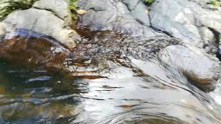 preview picture of video 'Black Pool Spring Vally Badulla Sri Lanka'