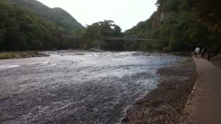 preview picture of video '2011 Autumn Fukiware Waterfall Gunma Japan 群馬県沼田市 吹割の滝 紅葉'