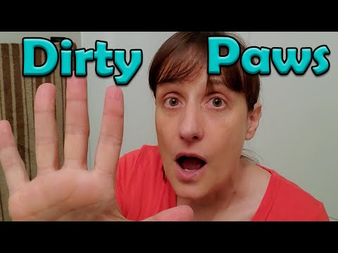 No More DIRTY DOG PAWS | Sit, Fetch, Wipe your paws | Clean those paws