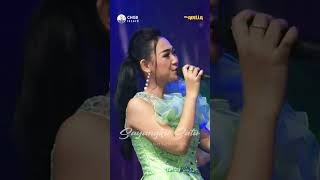 Download lagu Sayangku Satu Fira Azahra feat  Fendik Adella CHGB Record Om Adella #short  #youtubeshorts #shorts mp3 Download lagu Sayangku Satu Fira Azahra feat  Fendik Adella CHGB Record Om Adella #short  #youtubeshorts #shorts mp3