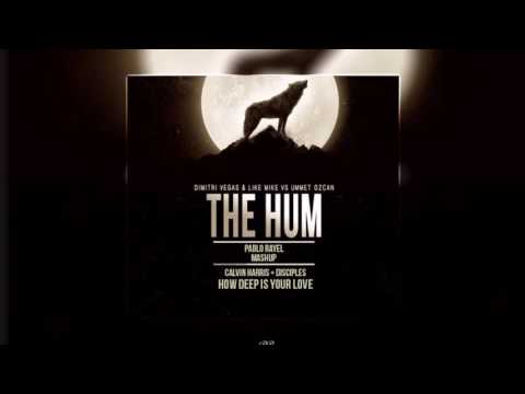 DV & LM & Ummet Ozcan Vs Calvin Harris ft Disciples - The Hum Vs How Deep Is Your Love (Pablo Rayel)