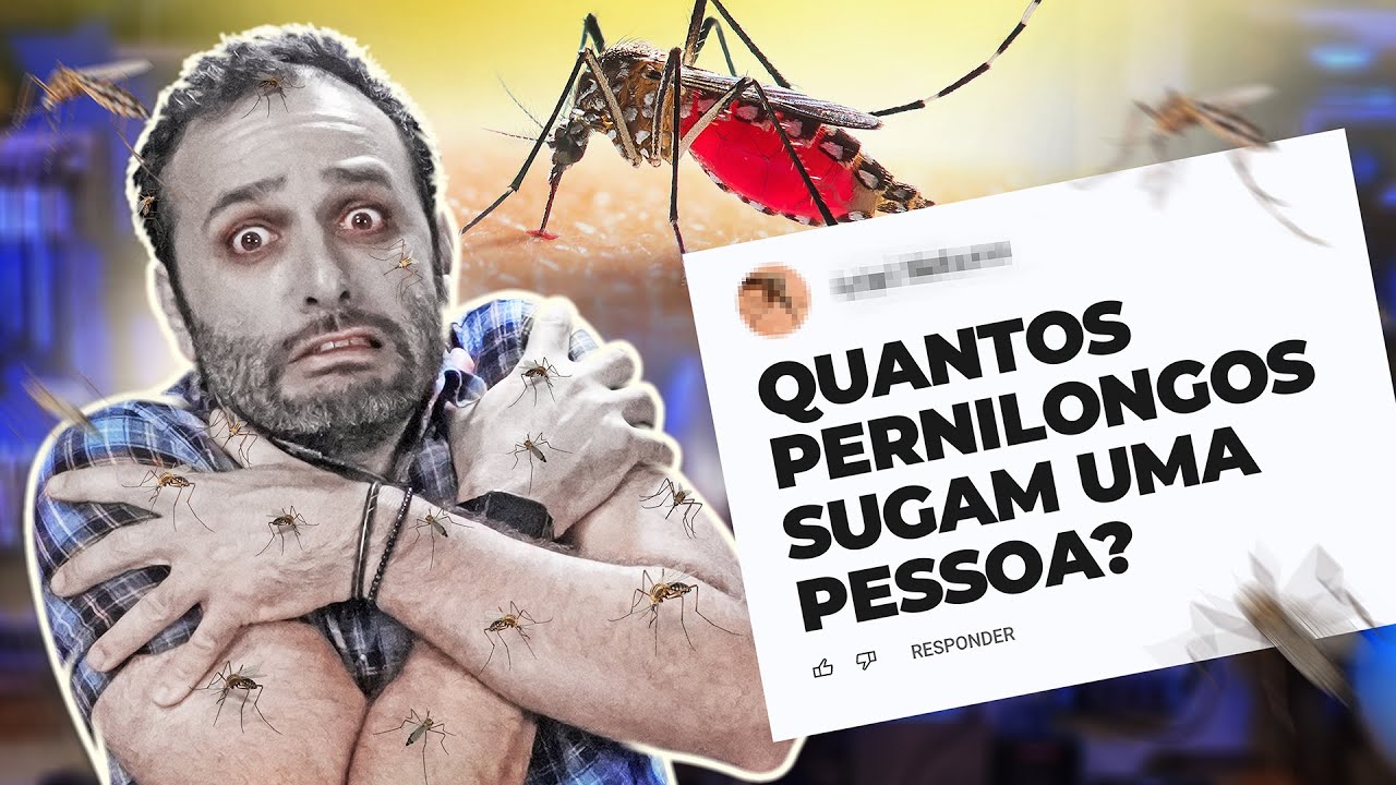 QUANTOS MOSQUITOS pra beber TODO SEU SANGUE? Iberê responde!
