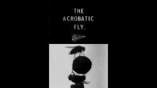 The Acrobatic Fly (1910) - La Mosca Acrobática. Música Joan Manuel Serrat - Las Moscas de Machado.HD