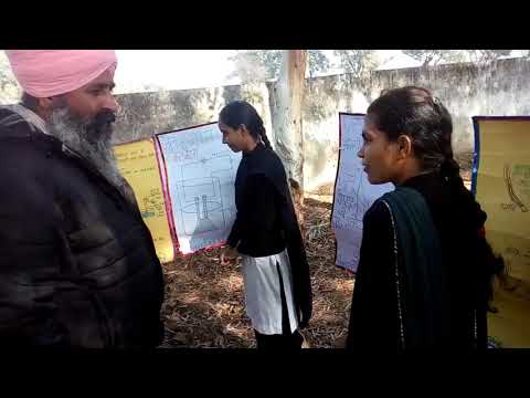 Science Chart gallery Dt 16 Dec 2017 at gsss baragudha