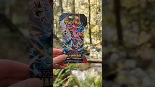 Zen pack rippin. 😌🌲🍃💦 #pokemon #packopenning #twilightmasquerad