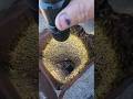 Thousands Of Bees In A Chimney