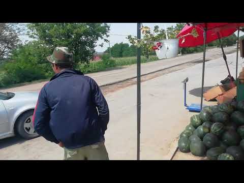 Vandalizare taraba sat Cantalaresti Vaslui