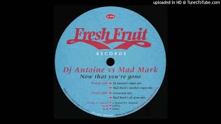 DJ Antoine Vs Mad Mark - Now That You're Gone (Night Mix) *Oldskool House / Organ / Niche*
