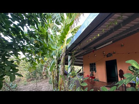 Santa Clara San Vicente casa con árboles y terreno $85,000.00 [NO DISPONIBLE]