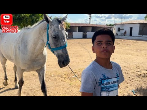 COWBOY LEVY SADDLEING THE HORSES