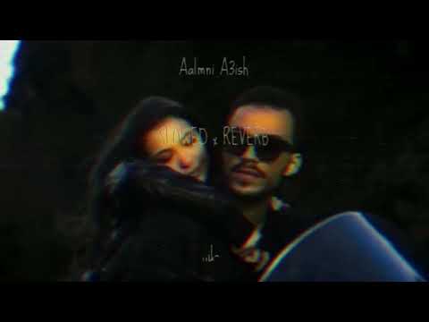 Siilawy aalmni a3ish slowed x reverb سيلاوي علمني اعيش بطيء صدى