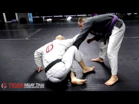 Brazilian Jiu Jitsu Gi Technique