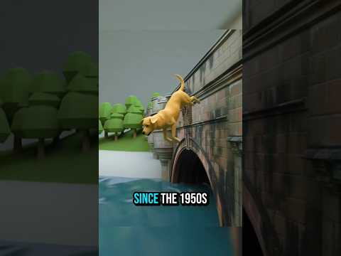 The Mystery of Overtoun Bridge 🐶🌉 | A Glitch in Nature? #Shorts