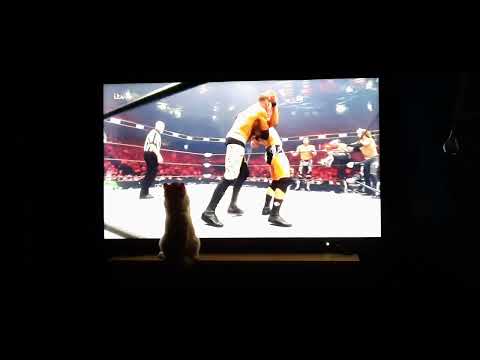 Rocky practicing his wrestling manoeuvres