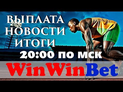 WinWinBet итоги 56 недели в прямом эфире. Очередной профитный месяц!