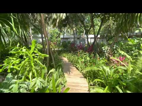 Dhigali Maldives - Communal Spa Area