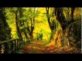 Georg Trakl - Verfall 