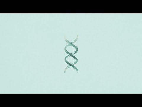 Video thumbnail for DNA