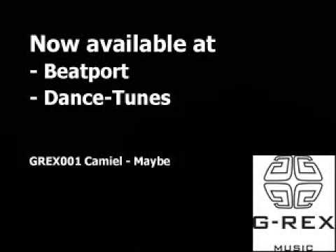 Camiel feat Forrest - Maybe (Gregor Salto remix)
