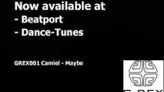 Camiel feat Forrest - Maybe (Gregor Salto remix)