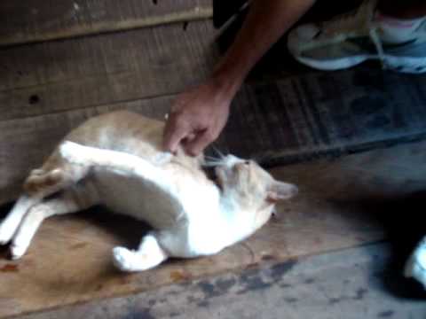 o encontro perfeito.MPG