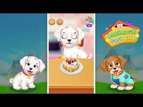 Labrador Puppy Spa Daycare