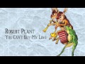 Robert Plant - You Can't Buy My Love from Band of Joy