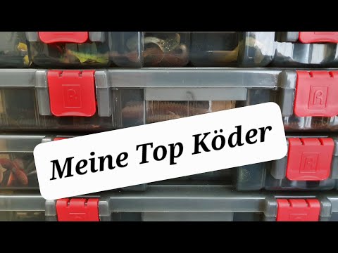 Meine Top Raubfischköder