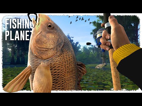 I Found HUGE Fish in Louisiana’s Swamps (the gators fear me) | FISHING PLANET