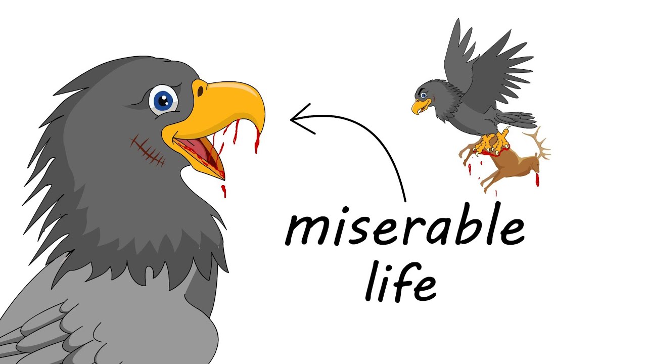 why It Sucks to Be Born as a Eagle