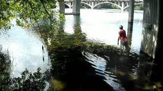 preview picture of video 'Austin Bass Fishing At Lady Bird Lake | Fishing Lake Austin | The Lunker'