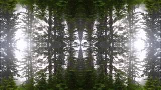 Medicine Drum - Suraya Mela (Psychedubic Trip'N'Bass Mix)