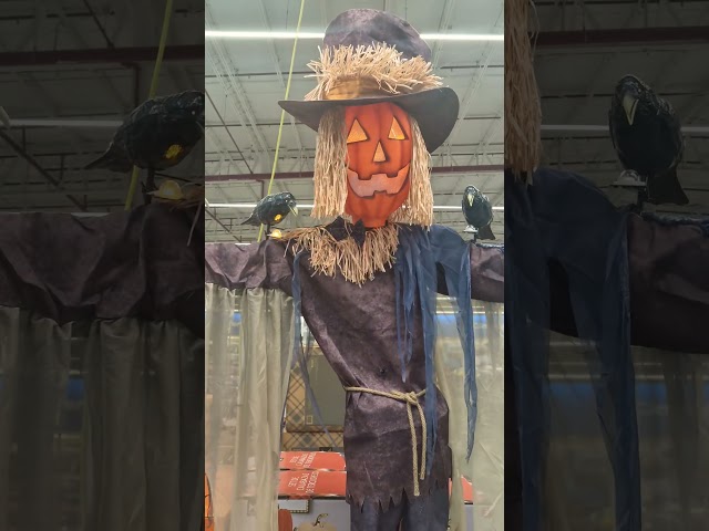 Vídeo relacionado con Esqueleto Decorativo Halloween Decoración De Terror 70 Cm Con