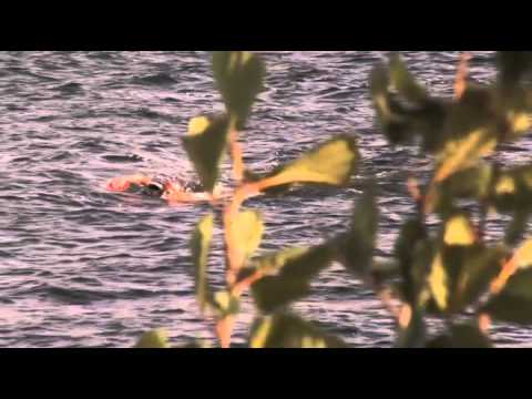 ÖTILLÖ 2012 - Käckskär/Nämdö Random cuts