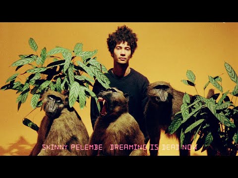 Skinny Pelembe - Dreaming Is Dead Now (Full Album Stream)