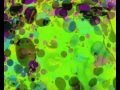Vegan Aliens POPDELIC PSYCHOGROUND Early Session 2014 N02 Rough Mix