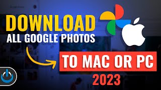 Easily Download ALL Google Photos to Mac or PC