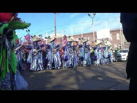 2023 Fralinger String band school schoolyard warm up