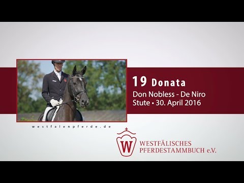 19 Donata  Stute v. Don Nobless - De Niro