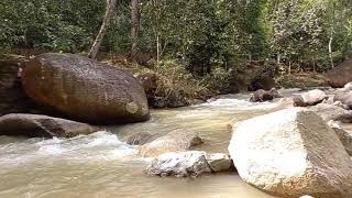 Download lagu Mandi di Lata Panggung, Kampung Teras, Ijok. mp3 Download lagu Mandi di Lata Panggung, Kampung Teras, Ijok. mp3