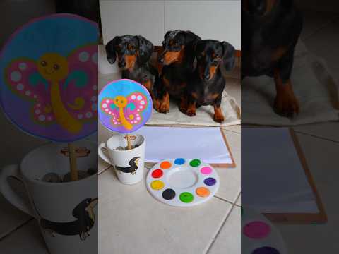 Sabías Pintar una Mariposa? 🦋🫟🎨 #perrosalchicha