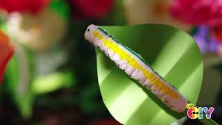Crayola Caterpillar Craft || Crayola CIY