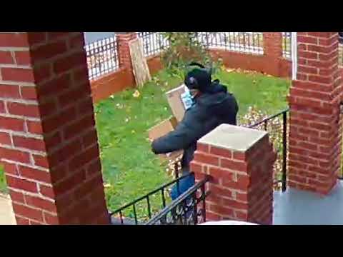 Person of Interest in Theft II, 4900 b/o 1st St, NW, on December 24, 2020