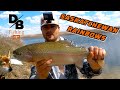 Video Thumbnail for EARLY SPRING RAINBOW TROUT | TESTING NEW FLY ROD