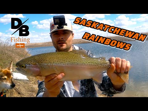EARLY SPRING RAINBOW TROUT | TESTING NEW FLY ROD