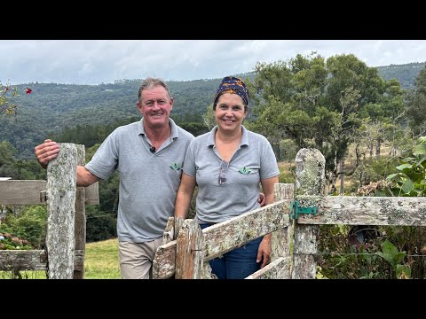 Assista ao Vídeo