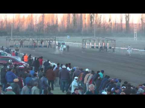 Tajo a Tajo - Lamarque (RN) 11 de junio